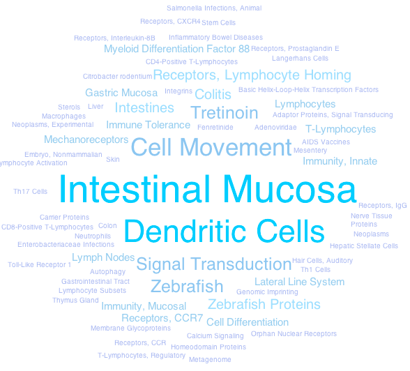 Word soup MEDLINE copy