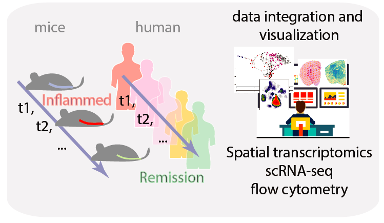 Screen Shot 2020-03-31 at 9.59.20 AM